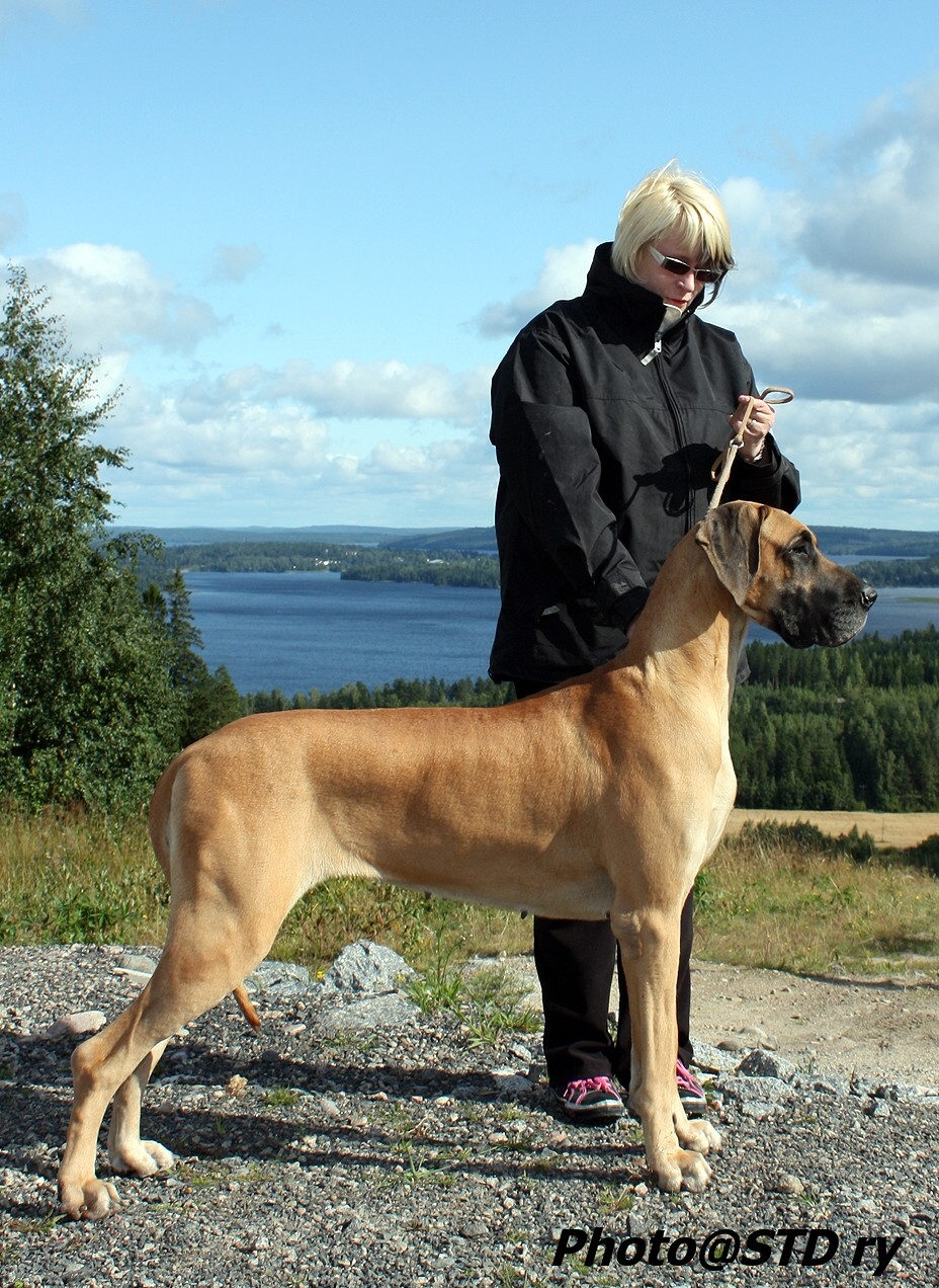 hilma